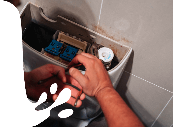 toilet repairs Camperdown